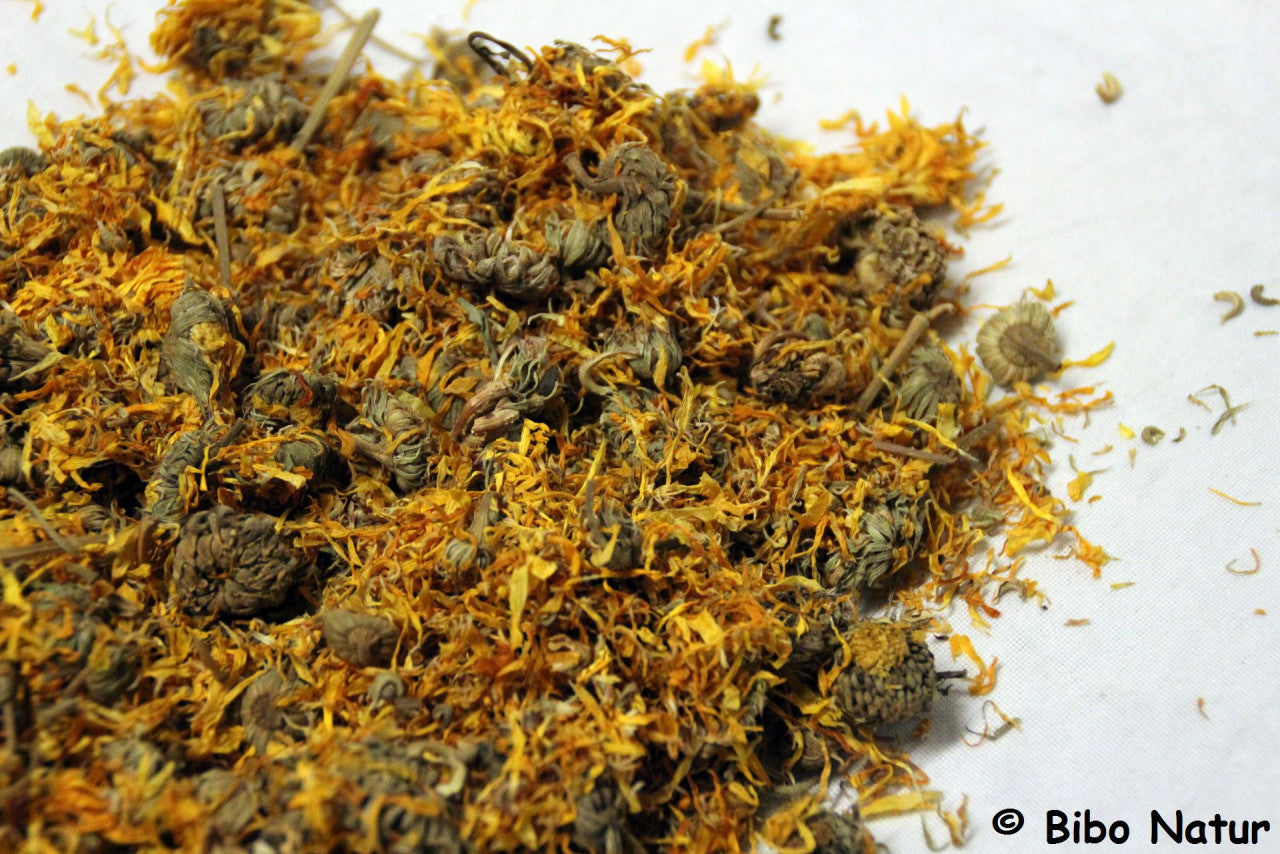 Bibo - Ringelblumen mit Kelch