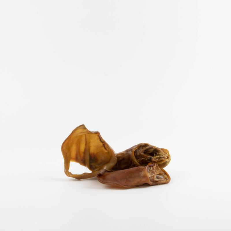 Lenzen & Sabel - Schweineohre