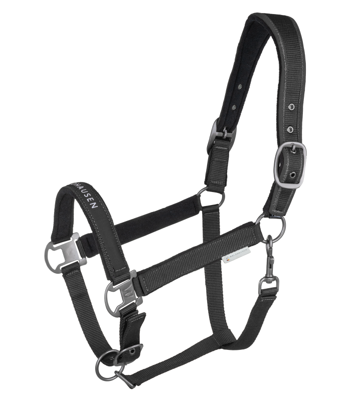 Waldhausen - Halfter Athletic