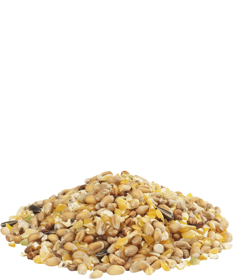 Versele-Laga - GRA-MIX ARDENNER MISCHUNG