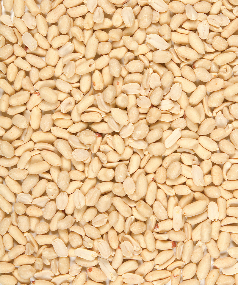 Versele-Laga - Peeled Peanuts