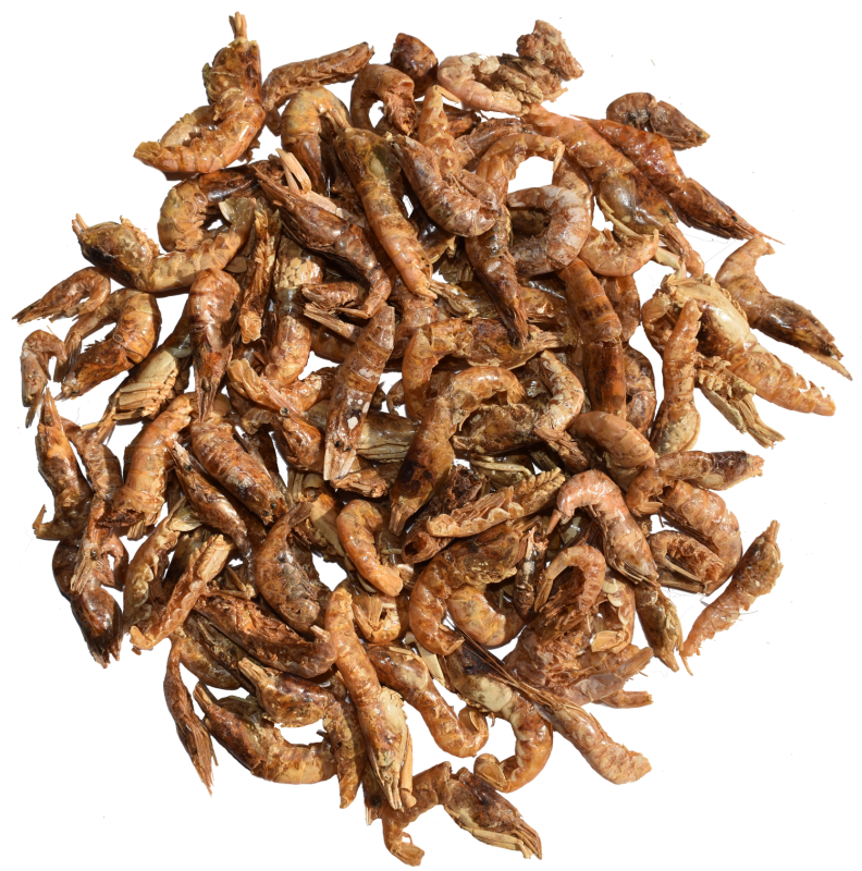 Rudloff - Süßwassershrimps