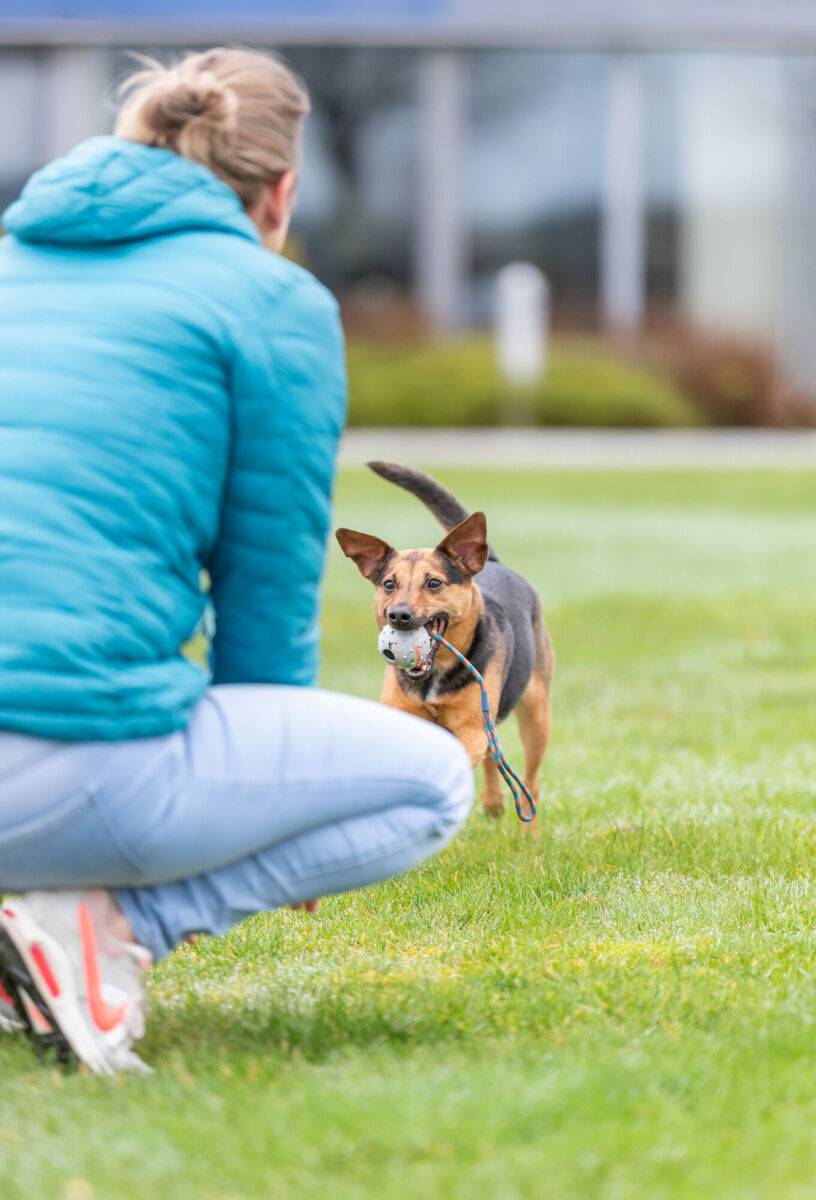Trixie - Ball am Seil, Naturgummi