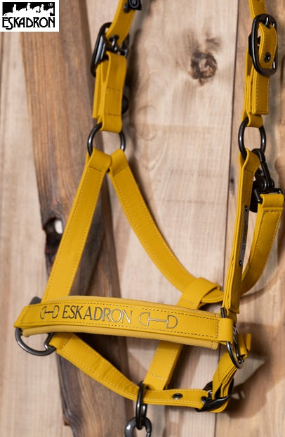 Eskadron - FAUX LEATHER DOUBLE PIN Halfter