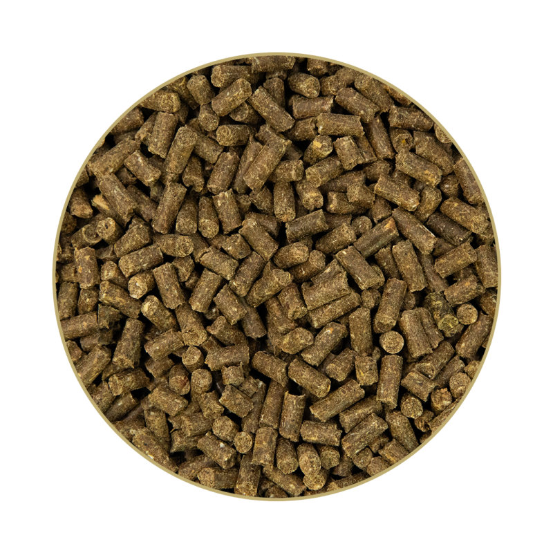 St. Hippolyt - Fohlengold® BoneCare 1 kg