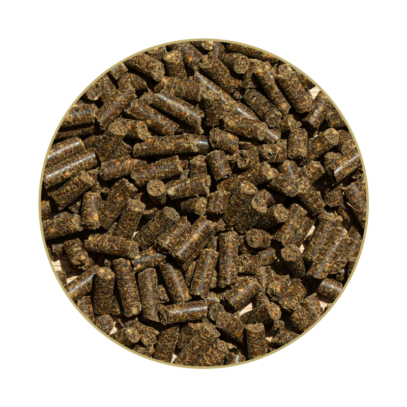 St. Hippolyt - Hefekultur 1 kg