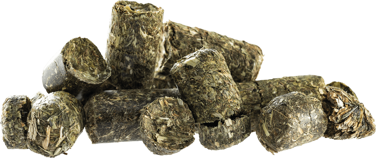 JOSERA - Kraut & Rüben Heucobs 20 kg