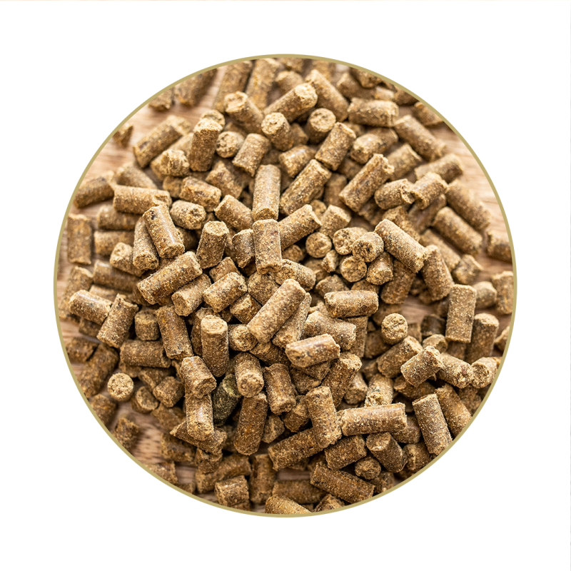 St. Hippolyt - Magnesium B12, 1 kg