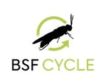 BSF Cycle