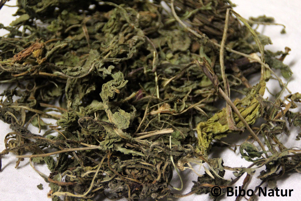 Bibo - Löwenzahnkraut getrocknet