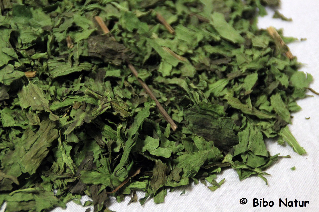 Bibo - Spitzwegerich