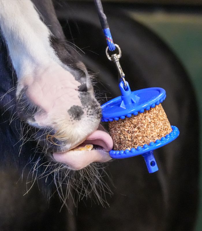Waldhausen - Likit Müsli, weniger Zucker