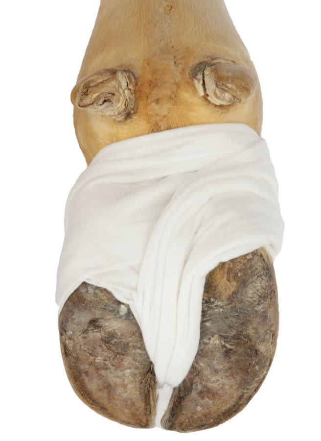 Kerbl - Verbandvlies Absorba