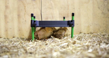 Kerbl - Wärmeplatte für Küken CosyHeat