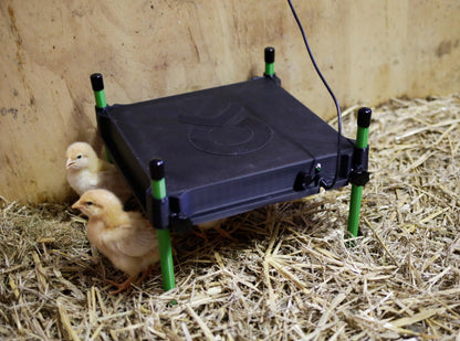 Kerbl - Wärmeplatte für Küken CosyHeat