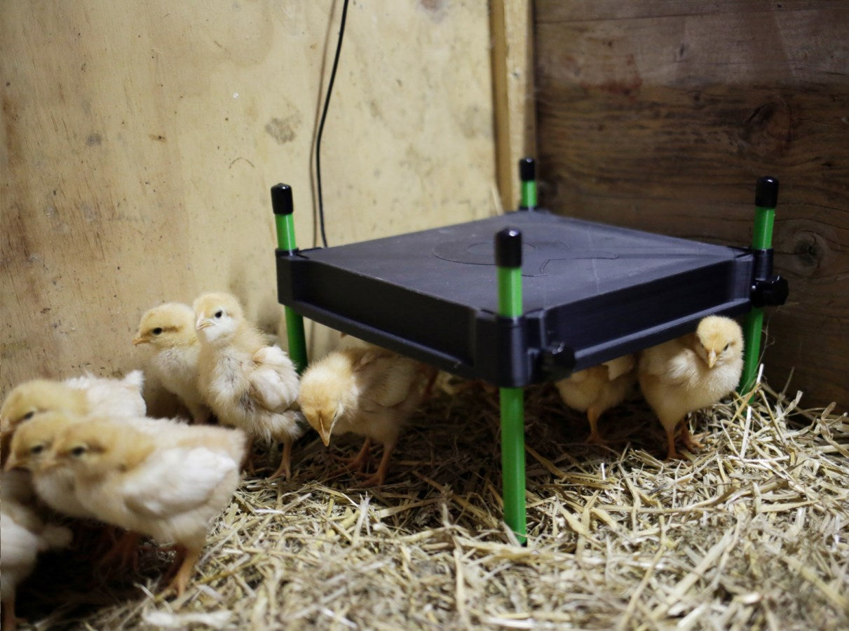 Kerbl - Wärmeplatte für Küken CosyHeat