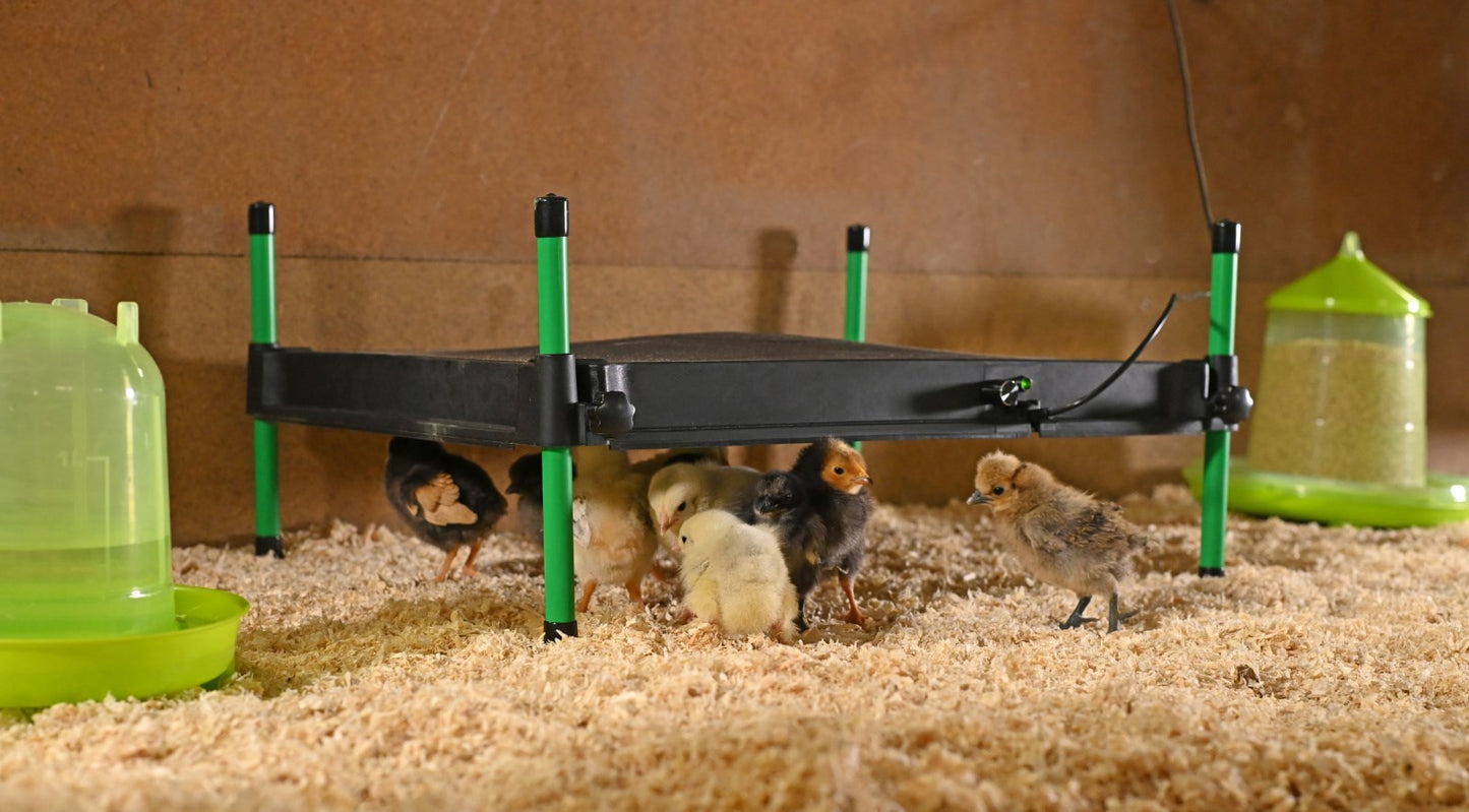 Kerbl - Wärmeplatte für Küken CosyHeat