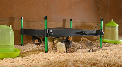 Kerbl - Wärmeplatte für Küken CosyHeat