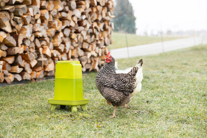 Kerbl Kunststofftränke mit Standfüßen