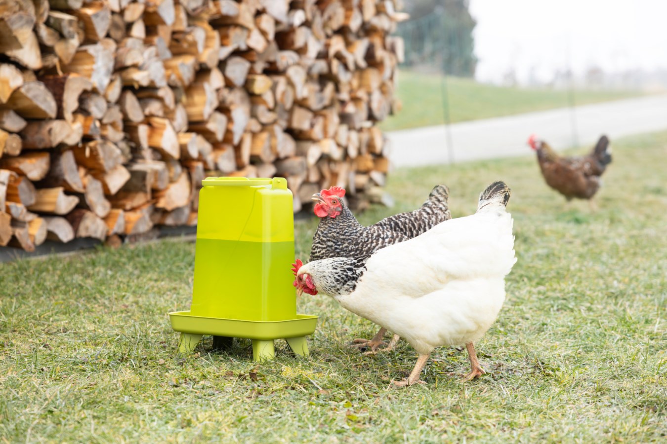 Kerbl Kunststofftränke mit Standfüßen