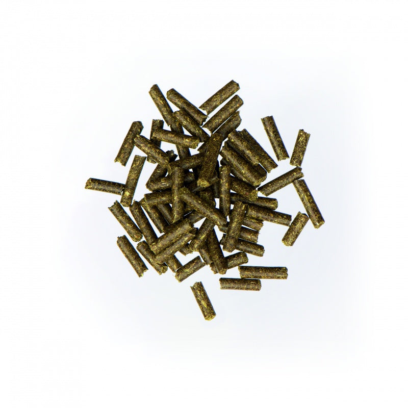 Agrobs - Selen pur 700g