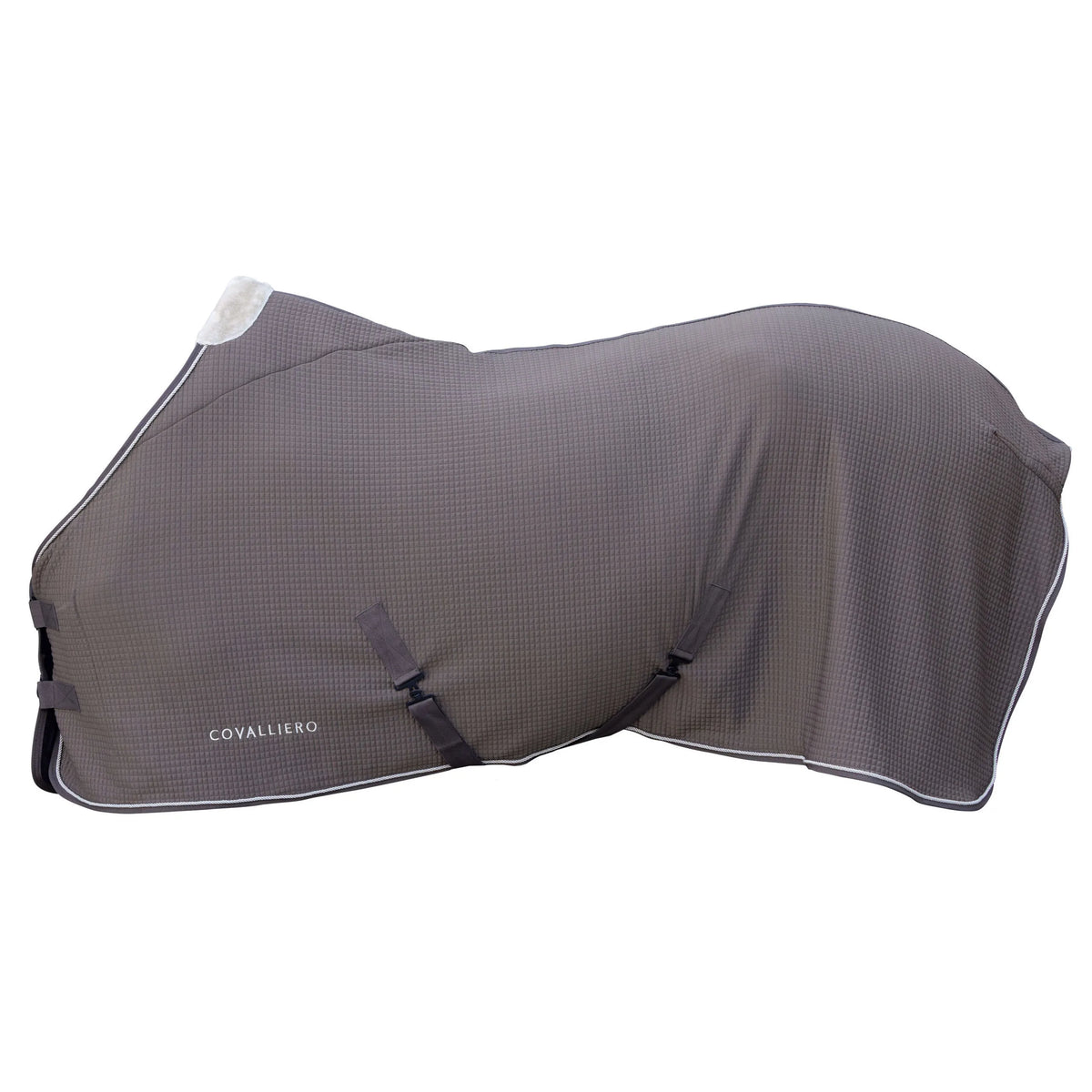 Covalliero - Abschwitzdecke Premium HW2026