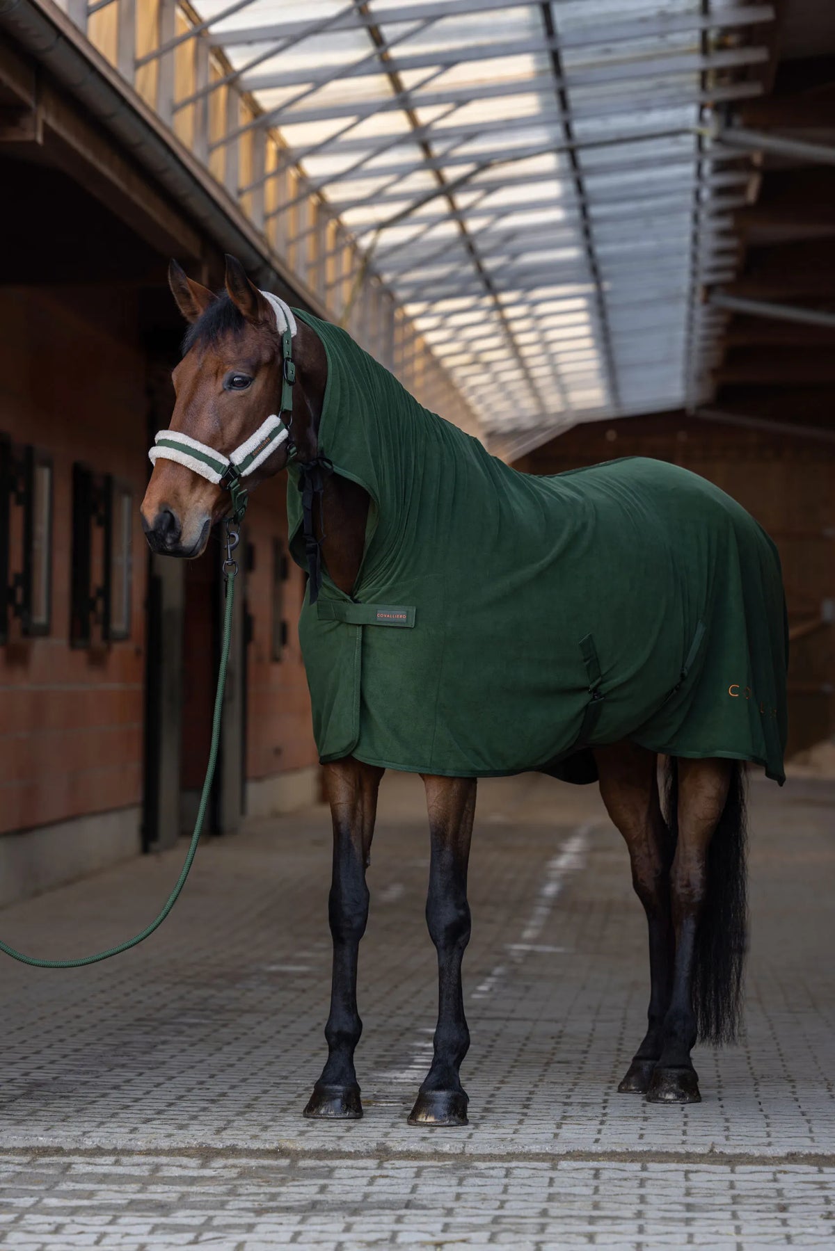 Covalliero - Halfter Soft H/W 2026