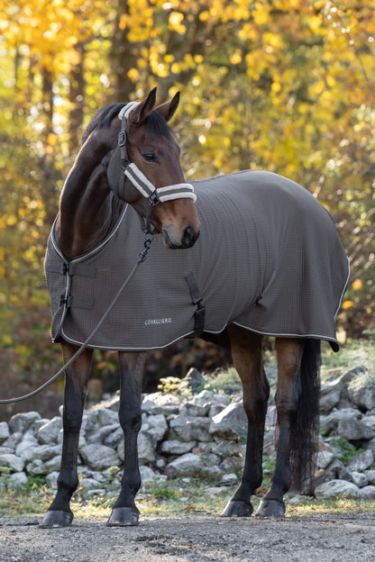 Covalliero - Abschwitzdecke Premium HW2026