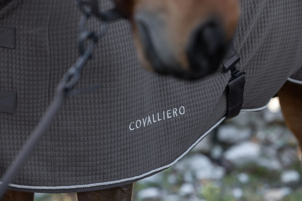 Covalliero - Abschwitzdecke Premium HW2026