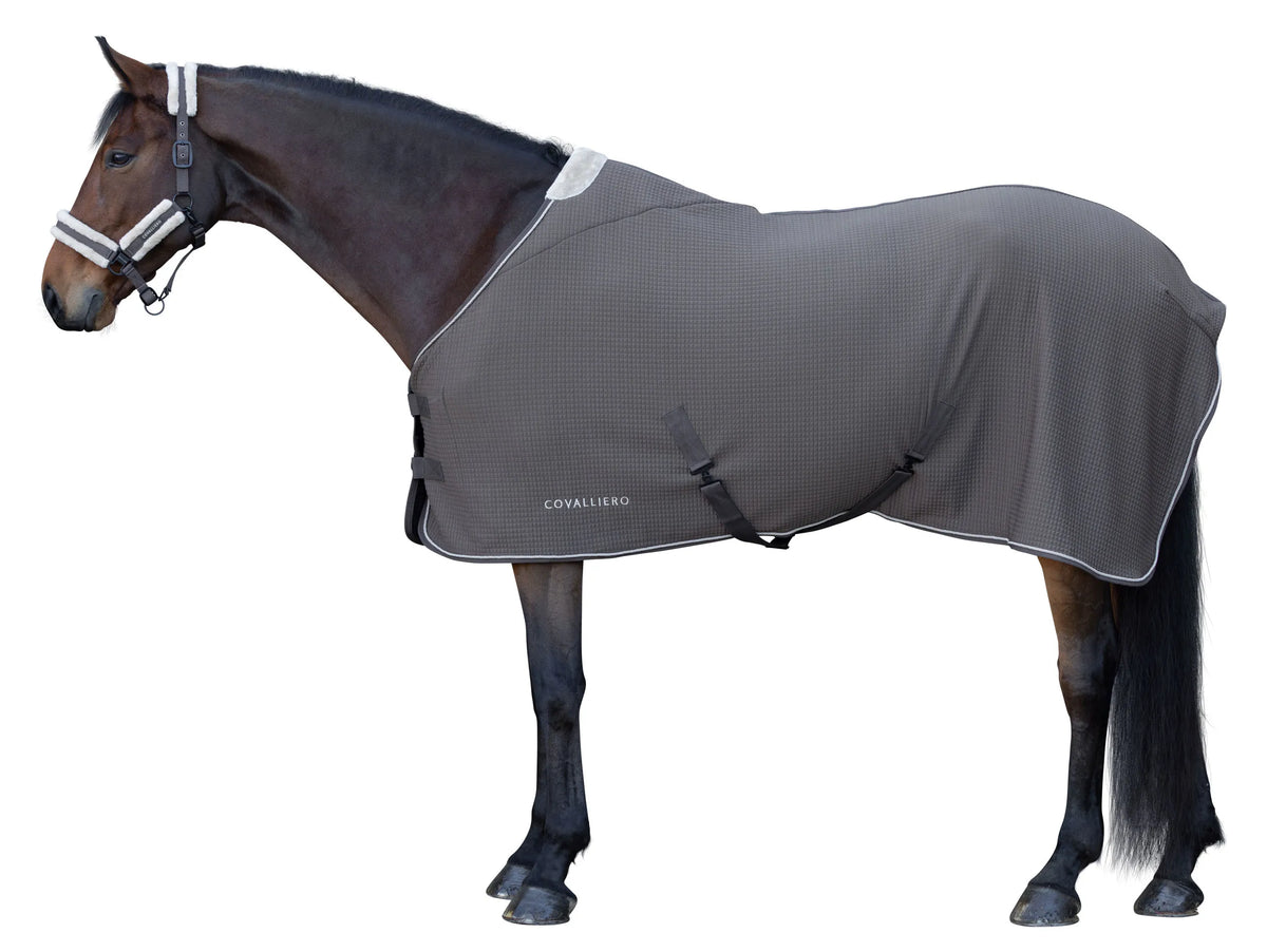 Covalliero - Abschwitzdecke Premium HW2026