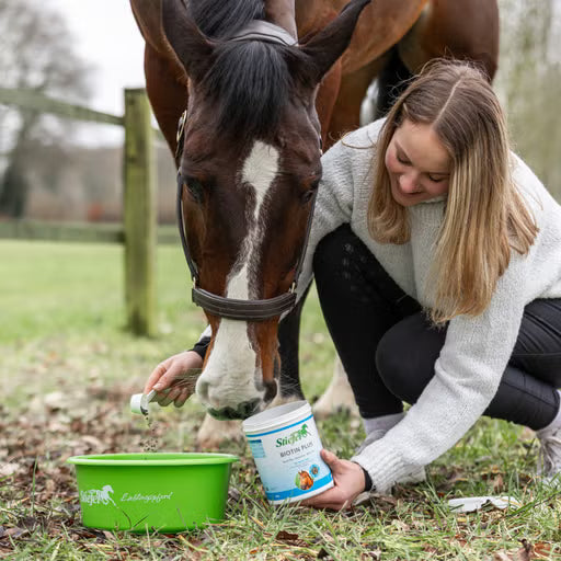 Stiefel - Biotin Plus Pellet, 1 kg