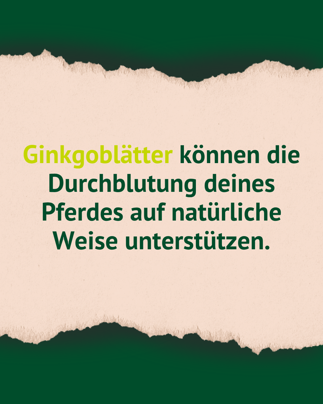 Lexa - Ginkgoblätter, 1kg