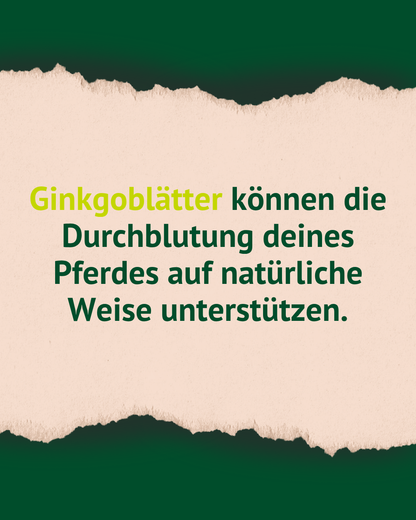 Lexa - Ginkgoblätter, 1kg