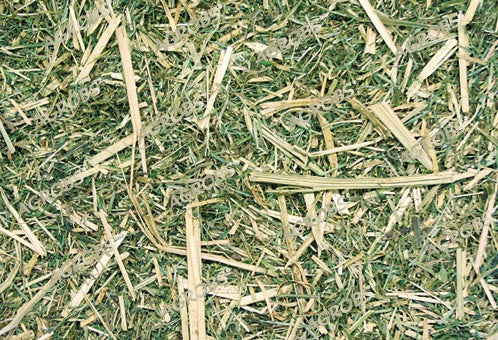 Agrobs - Luzerne Plus 15 kg