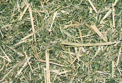 Agrobs - Luzerne Plus 15 kg