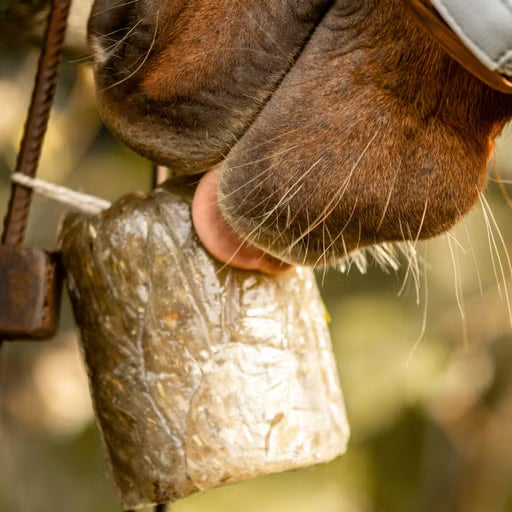Stiefel - Kräuterlix Leckstein, 1 kg