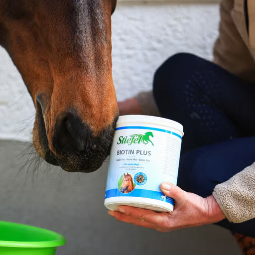 Stiefel - Biotin Plus Pellet, 1 kg