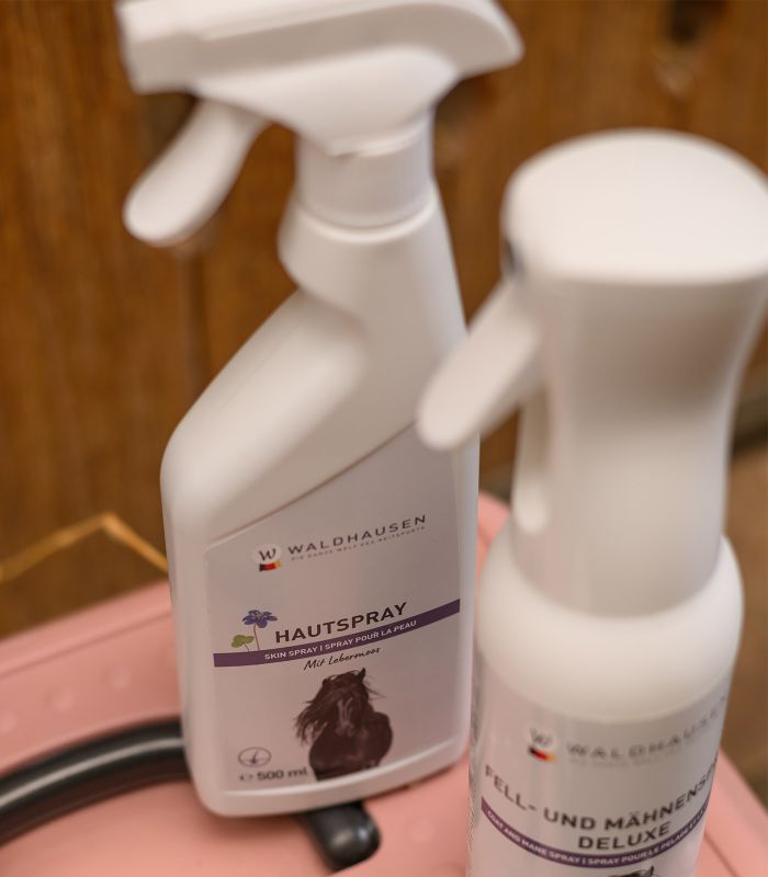 Waldhausen - Hautspray mit Lebermoos, 500 ml
