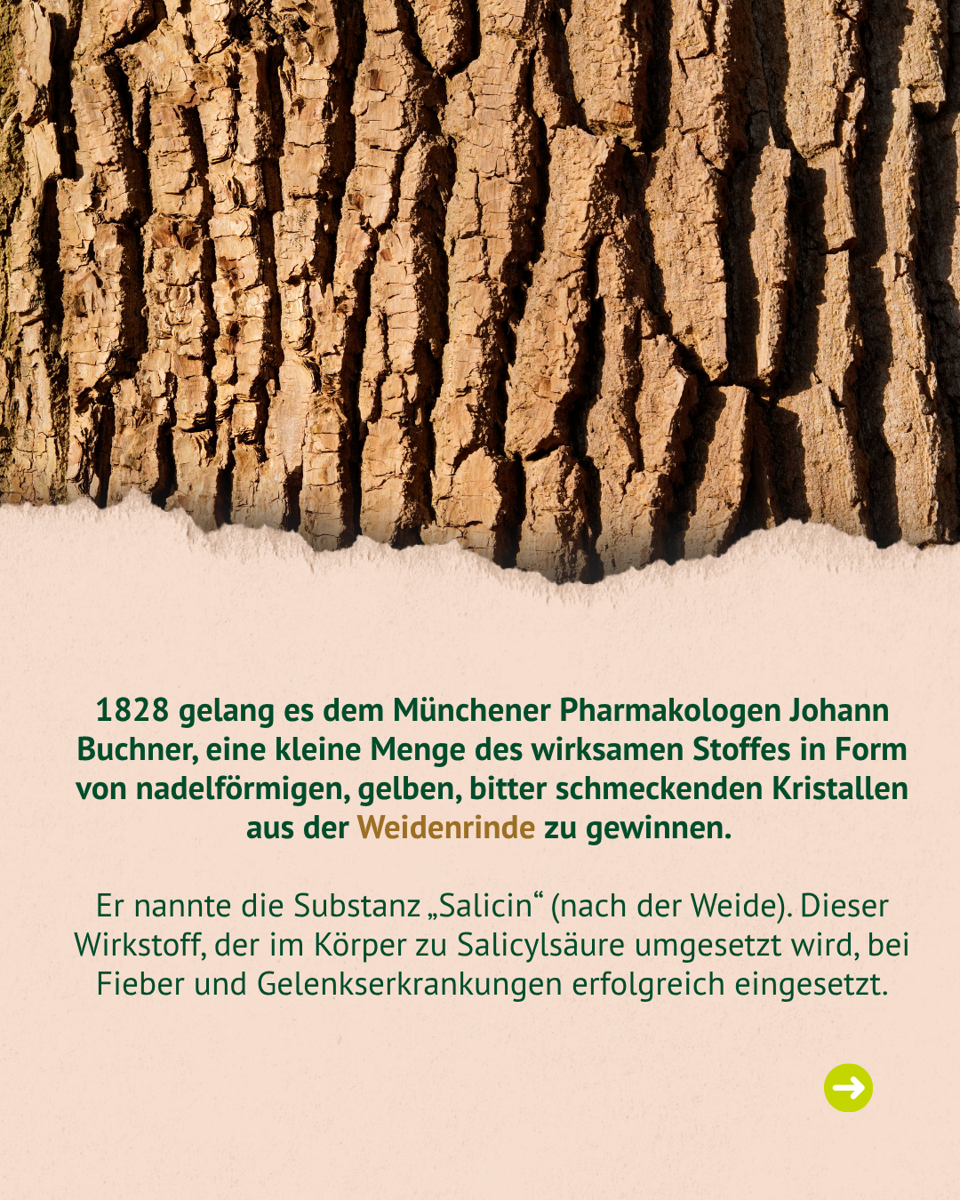 Lexa - Weidenrinde, 1kg