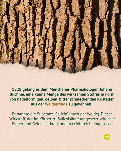 Lexa - Weidenrinde, 1kg