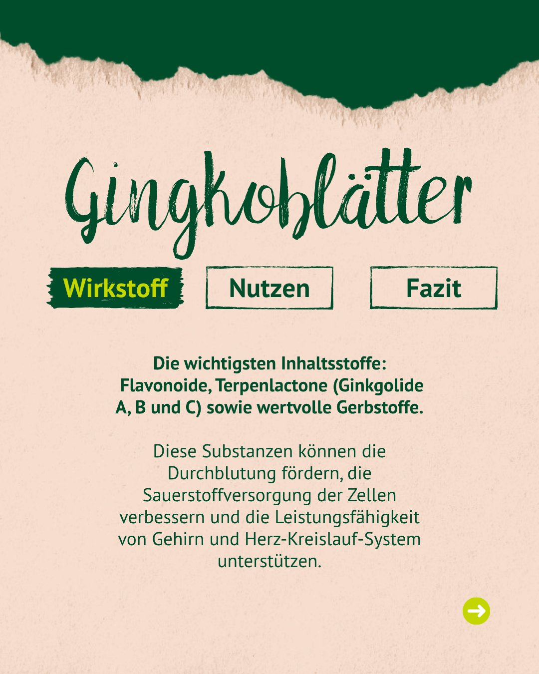 Lexa - Ginkgoblätter, 1kg