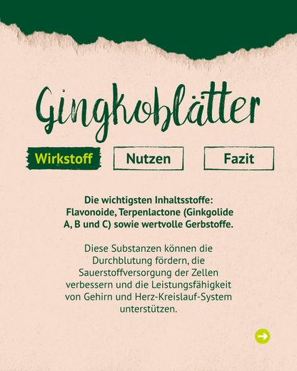 Lexa - Ginkgoblätter, 1kg