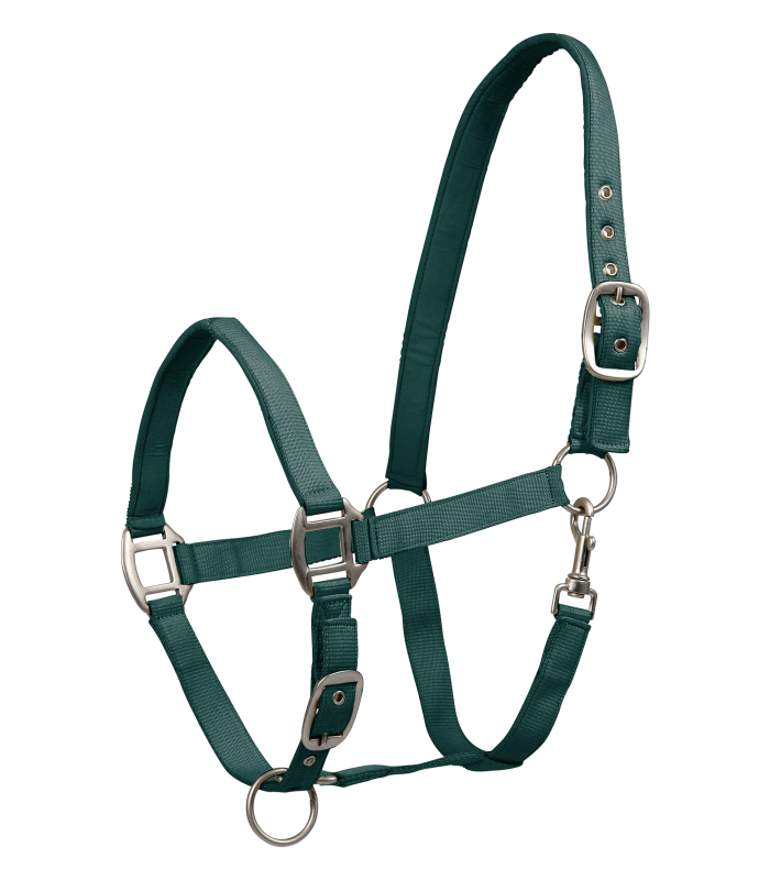 Waldhausen - Halfter Satin