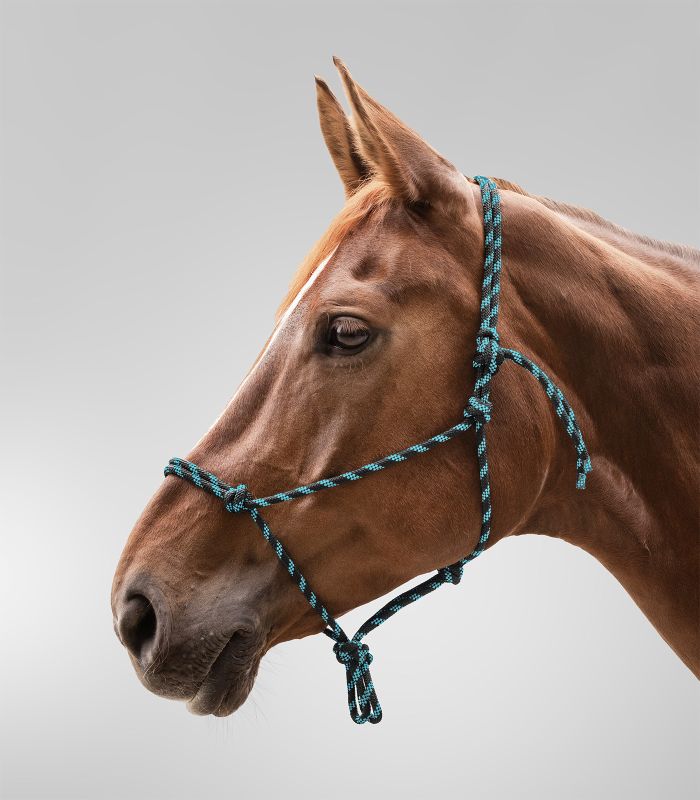 Waldhausen - Knotenhalfter