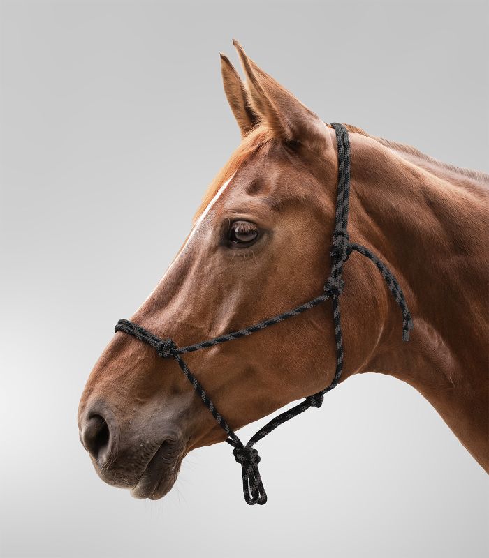 Waldhausen - Knotenhalfter