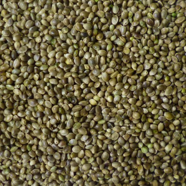 Backs - Hanf, 2,5 kg