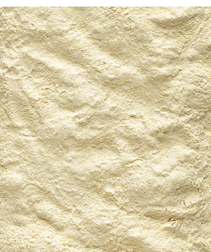 Versele-Laga - Allround