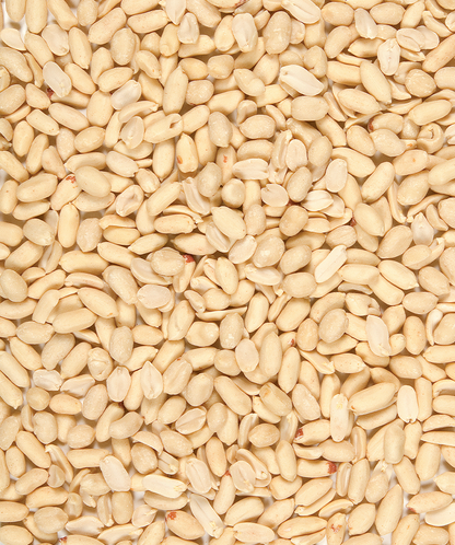 Versele-Laga - Peeled Peanuts