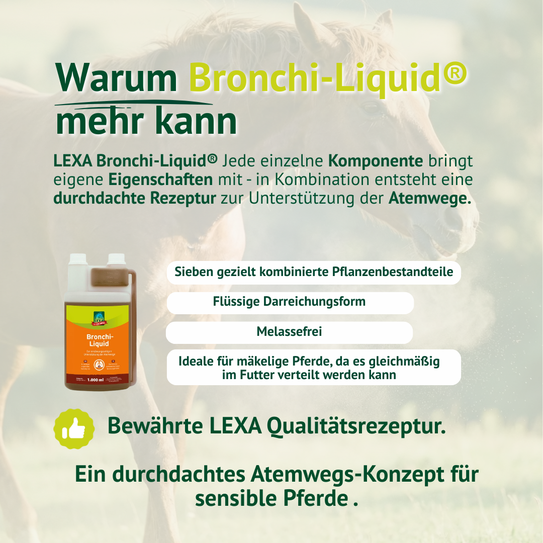 Lexa - Bronchi-Liquid, 1 l