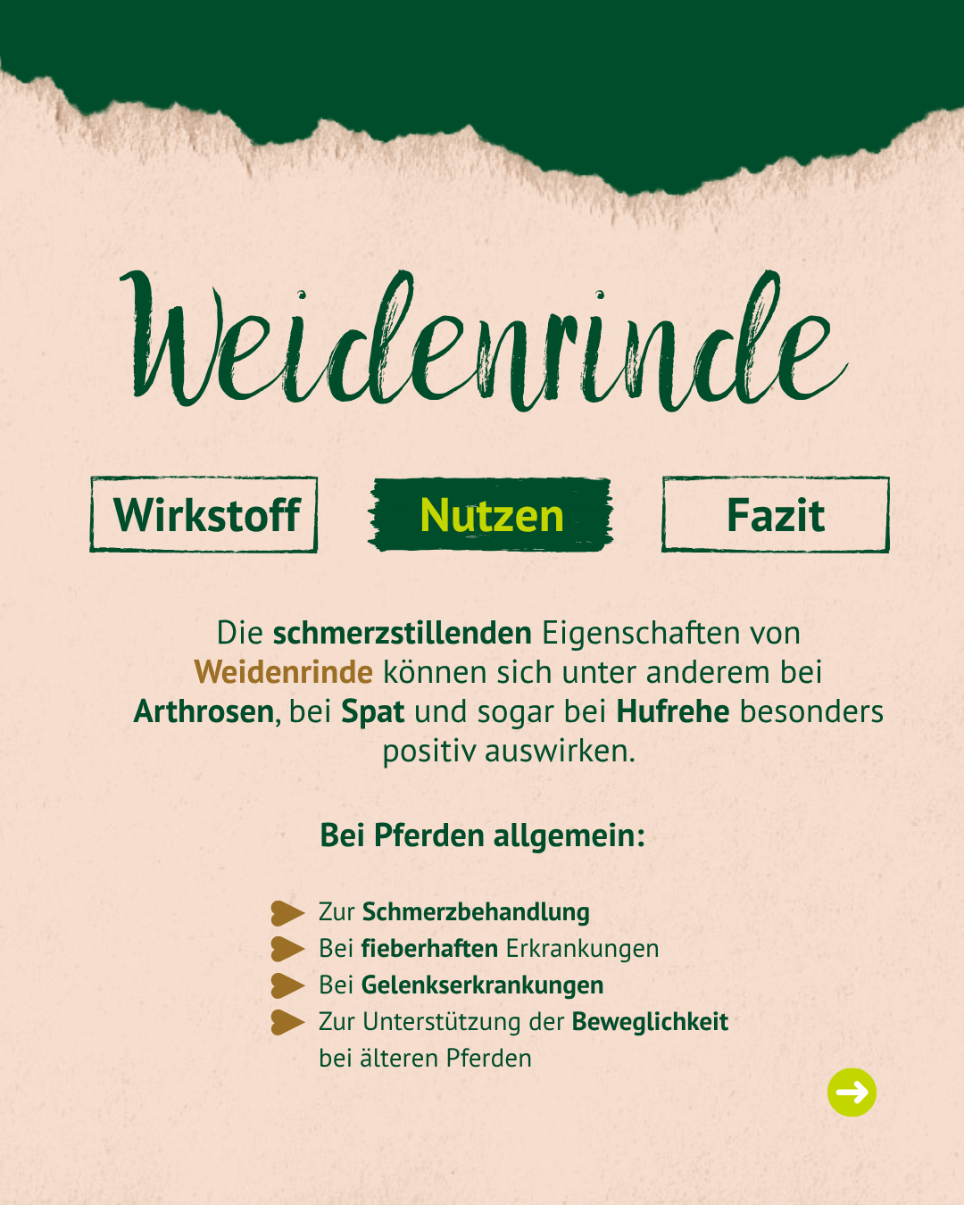 Lexa - Weidenrinde, 1kg